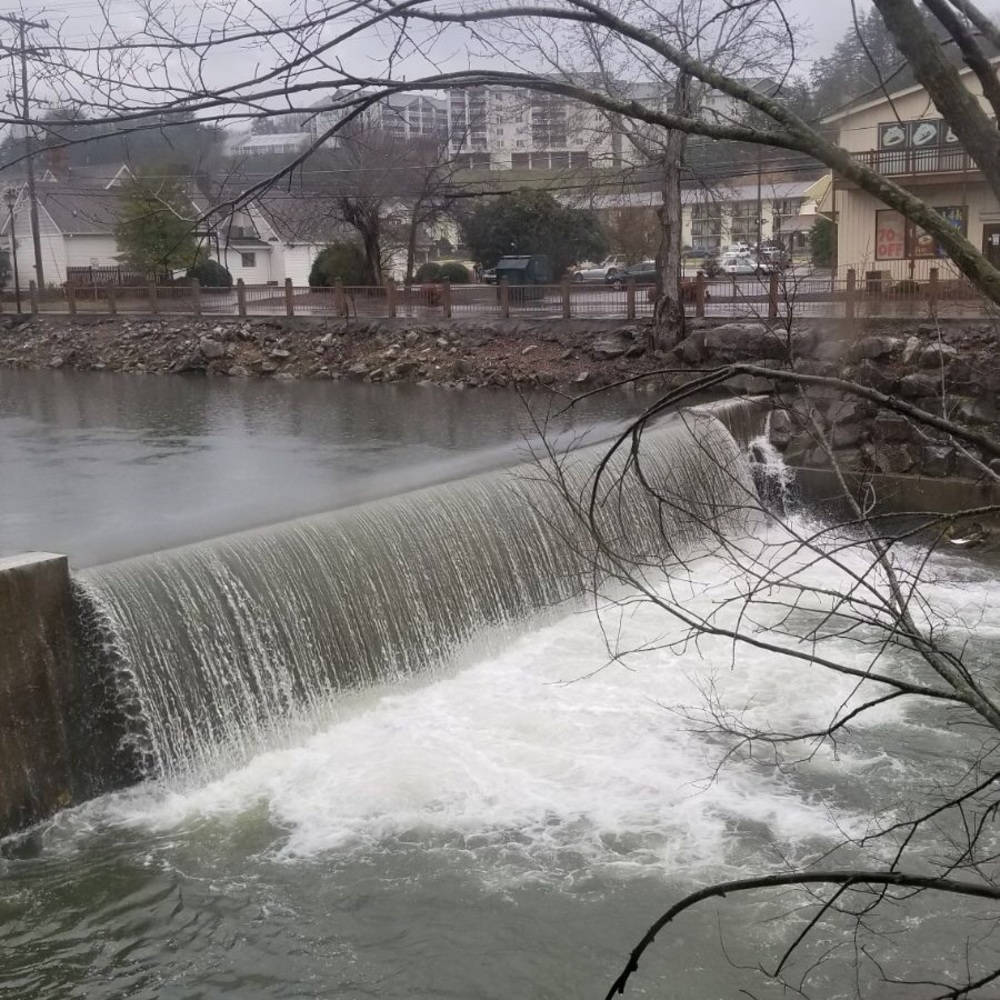 Meet your Posher, Ibe